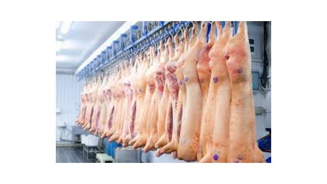 exportação de carne de porco