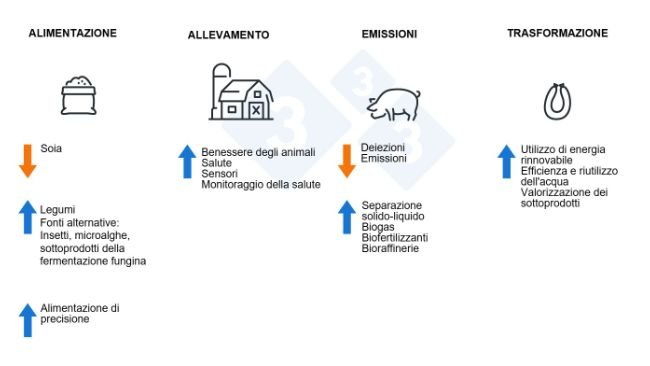 Come possiamo rendere il settore suinicolo più sostenibile?