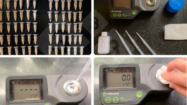 Foto 1. Utilizzo di refrattometri digitali per la misurazione indiretta della concentrazione di immunoglobuline.
