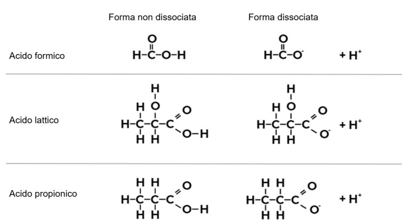 Figura 1. Formula chimica dell'acido formico, dell'acido lattico e dell'acido propionico nella&nbsp;loro forma&nbsp;non dissociata e dissociata.
