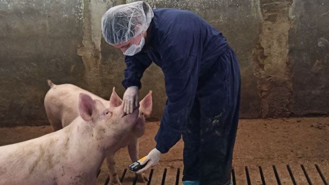 Il monitoraggio della concentrazione dei gas deve essere effettuato almeno una volta per stagione e in almeno tre box
