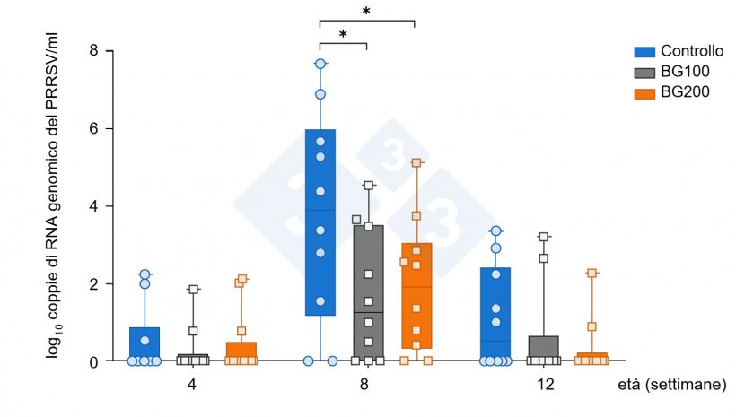 Figura 6. Riduzione precoce della viremia del virus MLV della PRRS mediante integrazione con beta-glucani&nbsp;(Chuaychu et al., 2024). I sieri dei suini da esperimento di ciascun gruppo (n=10) sono stati selezionati in modo casuale e sottoposti all&#39;estrazione dell&#39;RNA genomico virale. L&#39;RNA genomico del PRRSV &egrave; stato quantificato mediante qRT-PCR. I dati rappresentano la media (&plusmn;DS) dell&#39;RNA genomico del PRRSV. L&#39;asterisco (*) indica differenze significative (p&lt;0,05) tra i gruppi.
