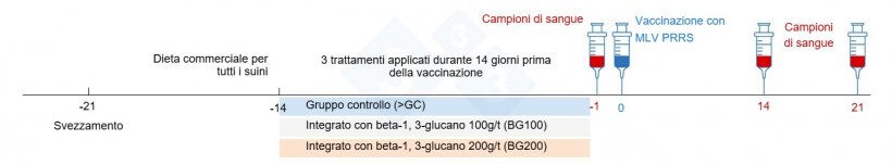 Figura 3. Riepilogo del disegno sperimentale.
