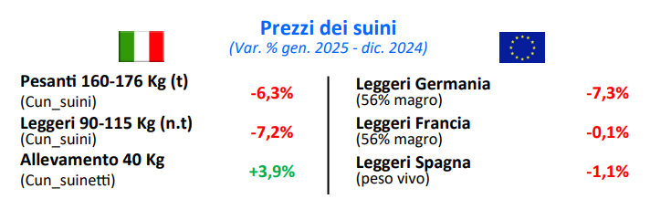 Andamento dei prezzi dei suini in Europa