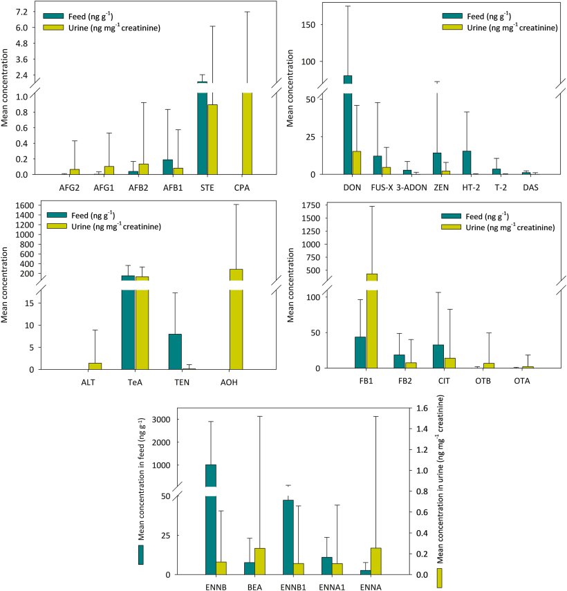 Fig. 2. Concentrazioni totali medie di micotossine riscontrate nei campioni di mangimi e di urina con barre di errore dei valori di deviazione standard.