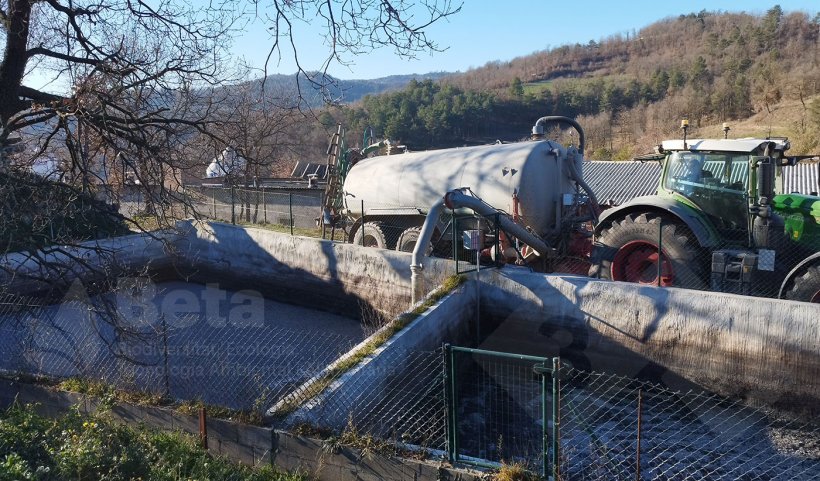 Raccolta di liquami da un bacino di stoccaggio in un allevamento di suini.
