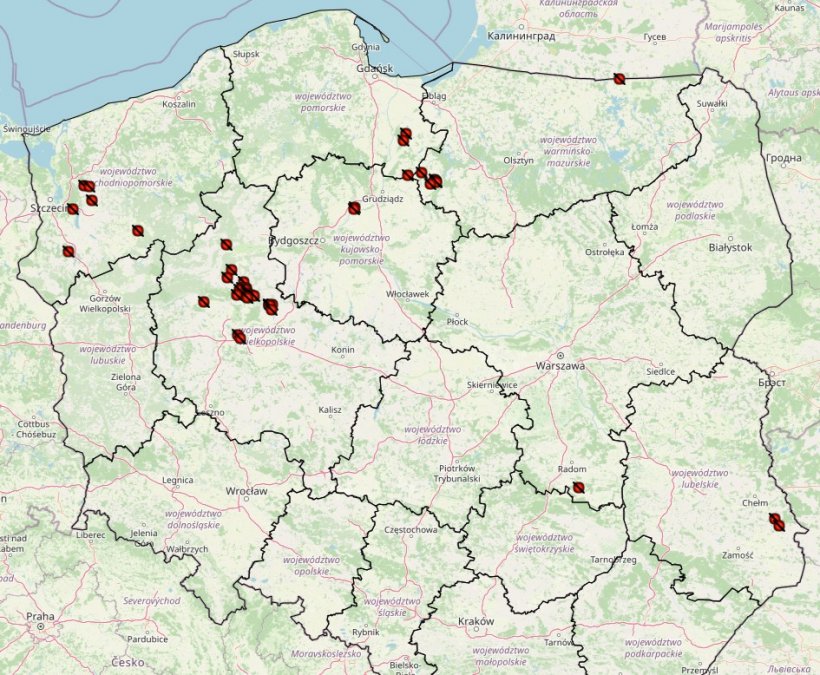 ASF outbreaks in pigs 2024. Source: Chief Veterinary Inspectorate.
