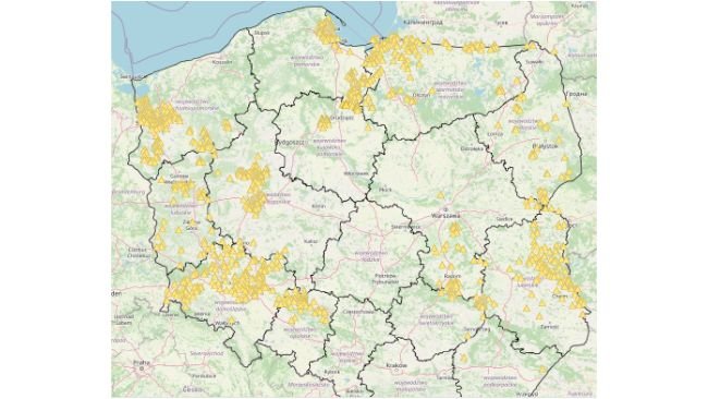 ASF outbreaks in wild boars in 2024. Source: Chief Veterinary Inspectorate.