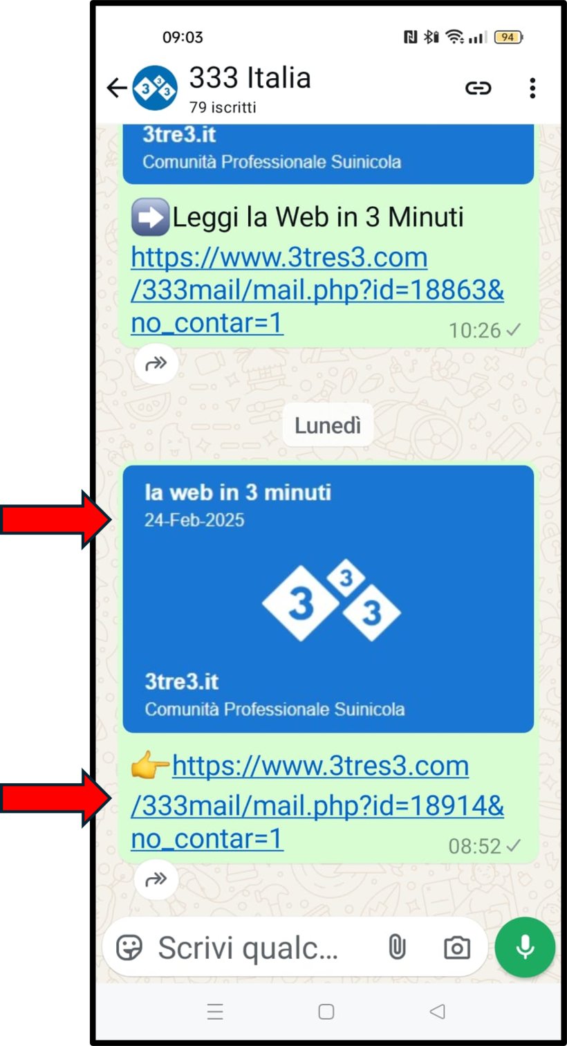 Quando vuoi vedere le nostre newsleletter, basta cliccare sul canale dove apparirano tutte le nostre Newsletter attuali e precedenti, se li vuoi guardare oppure ri-guardare, basta cliccare sul link annesso corrispondente.
