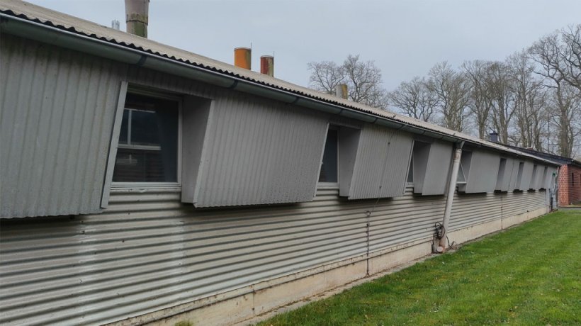 Vista esterna reparto sala parto allevamento convenzionale