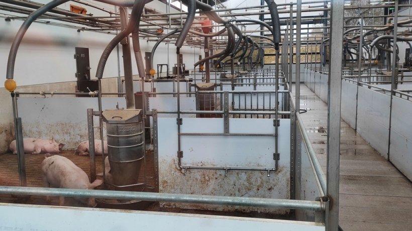 Reparto alimentazione del box situato vero l'interno del capannone, si può osservare parte del tetto centrale con l'apertura trasparente