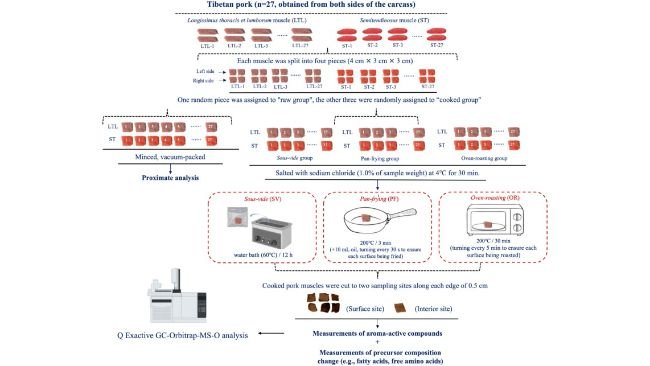 Fig. 1. Preparazione di campioni di carne di suino tibetano secondo le tre procedure di cottura.