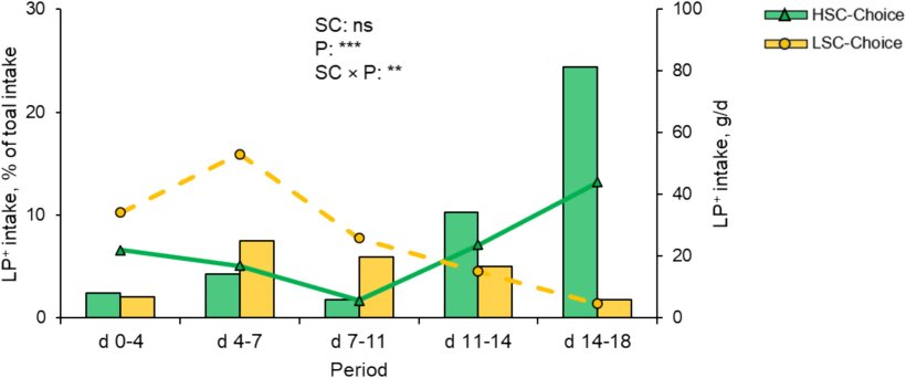 Fig. 1. Assunzione di una dieta ipoproteica arricchita di aminoacidi da parte di suinetti a cui è stata offerta una scelta dietetica (Choice) in condizioni sanitarie elevate (HSC) e basse (LSC). Nel trattamento Choice, i suinetti potevano scegliere di consumare una dieta ipoproteica con Lys, Met, Thr, Trp, Val, Leu, Ile, His carenti del 20% (LP-) o superiori del 20% (LP+) per il massimo incremento di peso corporeo (CVB, 2020). L'assunzione della dieta LP+ è mostrata sia come percentuale dell'assunzione totale (somma delle diete LP+ e LP-, linee) sia come valore assoluto (barre). La proporzione di assunzione della dieta LP+ è stata analizzata con un modello lineare che includeva l'effetto delle condizioni sanitarie (SC), del periodo (P) e dell'interazione SC × P. *** quando P < 0,001, ** quando P < 0,05, ns quando P > 0,5.