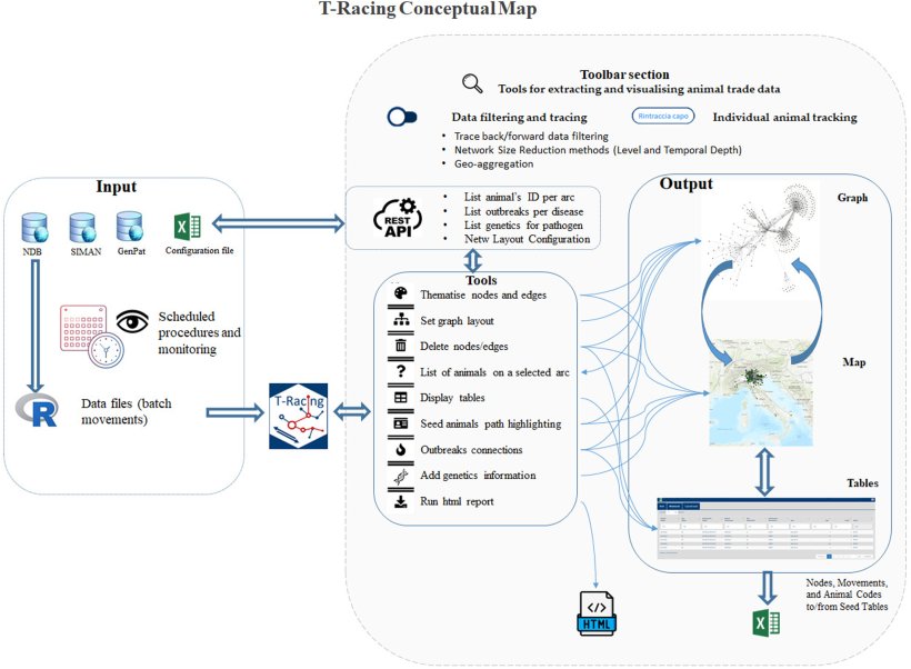 Figura 3. Mappa concettuale di T-Racing.
https://doi.org/10.1371/journal.pone.0317313.g003