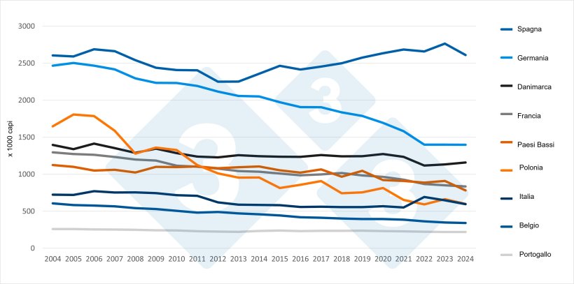 Evoluzione del numero di scrofe nei principali paesi produttori dell'UE (2004-2024). Fonte: 333 su dati Eurostat.
