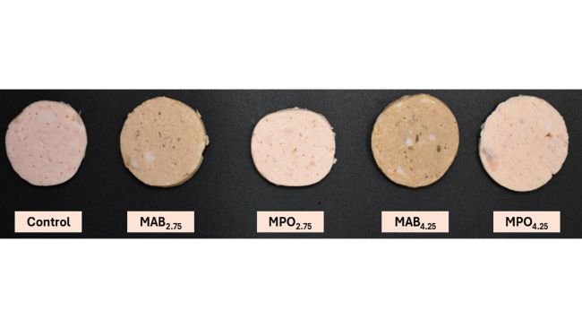 Fig. 1. Mortadella di controllo e mortadelle riformulate addizionate con farina di steli di Agaricus bisporus (ABSF) e farina di steli di Pleurotus ostreatus (POSF) come sostituti del cloruro di sodio e dell'amido.Controllo: mortadella con 2,5% di sale e 3% di fecola di patate, MAB2,75: mortadella con 2,75% di ABSF, 1,25% di sale, 0,015% di tripolifosfato di sodio e 1,5% di fecola di patate, MPO2,75: mortadella con 2,75% di POSF, 1,25% di sale, 0,015% di tripolifosfato di sodio e 1,5% di fecola di patate, MAB4,25: mortadella con 4,25% di ABSF, 1,25% di sale, 0,015% di tripolifosfato di sodio e 0% di fecola di patate, MPO4,25: mortadella con 4,25% di POSF, 1,25% di sale, 0,015% di tripolifosfato di sodio e 0% di fecola di patate. Fonte:
https://doi.org/10.1016/j.meatsci.2025.109888.