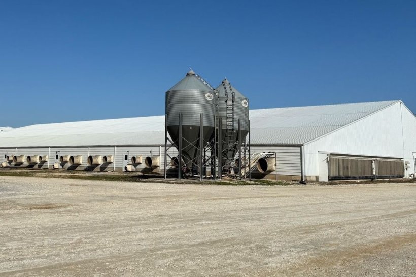 Foto 1: Uno dei capannoni dell'unità di produzione visitata.