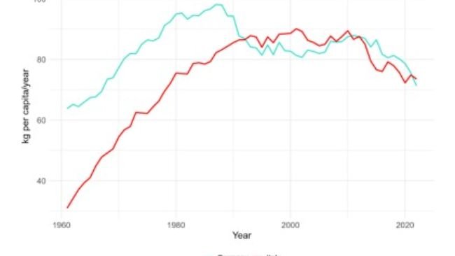 Fig. 1. Andamento del consumo pro capite di carne in Germania e Italia.
(Fonte: FAOSTAT)