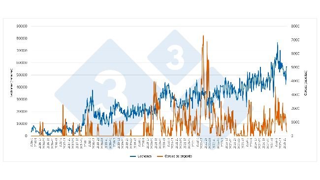 Evoluzione settimanale delle importazioni spagnole di suinetti e suini grassi dai Paesi Bassi (gennaio 2016-giugno 2025). Fonte: Redazione 333, basato sui dati della RVO.
