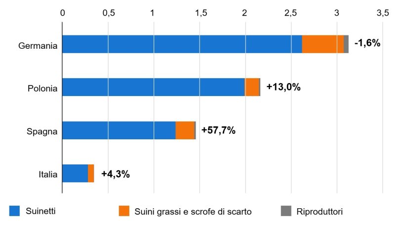 Importatori europei di suini vivi nel primo trimestre 2025/2024 (milioni di capi). Fonte: IFIP su dati Eurostat (dogane)
