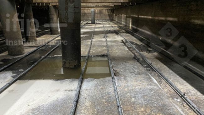 Lisiotermia sul fondo di una fossa in condizioni sperimentali. Fonte: IFIP.
