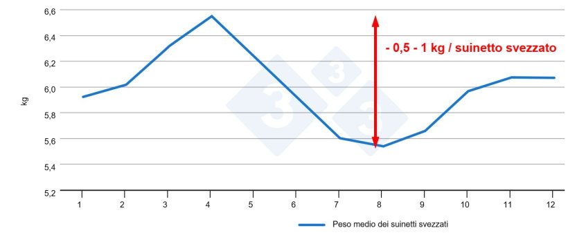 Figura 3.Peso dei suinetti allo svezzamento in base al mese dell'anno (dati interni).
