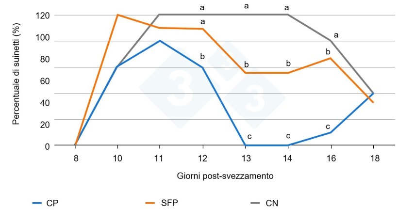Figura 2. Effetto dell'inoculazione di F4-ETEC (al 10&deg; giorno dopo lo svezzamento) e percentuale di suinetti che eliminano il batterio (Fonte: Torres-Pitarch et al., 2025). Lettere diverse per ogni giorno rappresentano differenze significative (p<0,05). CP = controllo positivo (colistina), CN = controllo negativo, SFP = soluzione alimentare fitogenica. La colistina (Colisol 250.000 IE/ml) &egrave; stata utilizzata come controllo positivo e somministrata tramite acqua di bevanda&nbsp;tra l'8&deg; e il 14&deg; giorno dopo lo svezzamento. La colistina &egrave; stata utilizzata come riferimento contro E. coli, nonostante le attuali restrizioni d'uso.
