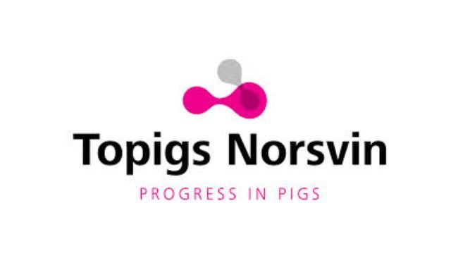 topigs