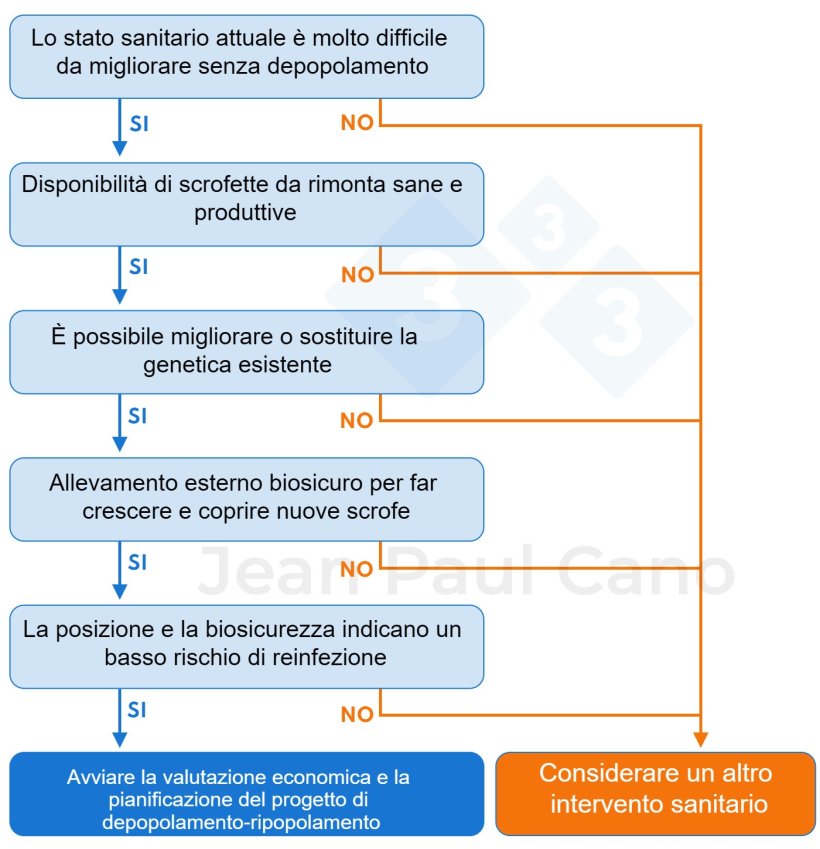 Figura 1. Albero Decisionale per valutare la fattibilit&agrave; di un processo di depopolamento-ripopolamento. Il depopolamento-ripopolamento &egrave; nel migliore interesse per il&nbsp;mio allevamento?
