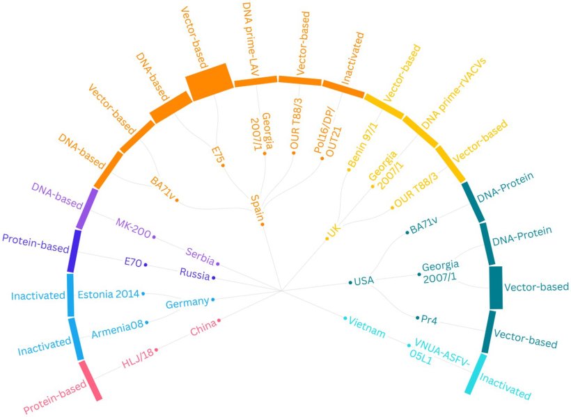 Figura 2. Riepilogo dei disegni sperimentali di 23 studi che valutano l'efficacia di vaccini non replicanti contro il virus della peste suina africana (PSA) nei suini domestici. La struttura del grafico si sposta dallo strato esterno al centro, mostrando (1) il tipo di vaccino, (2) il ceppo virale da cui &egrave; stato derivato l'antigene e (3) il paese in cui &egrave; stato condotto lo studio. LAV, Vaccino Vivo Attenuato (BA71&Delta;CD2); rVACV, Virus Vaccinici Ricombinanti; USA, Stati Uniti d'America; UK, Regno Unito.DOI=10.3389/fvets.2025.1614479
