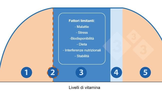 Figura 1. Relazione tra livello di vitamine e risposta animale.
