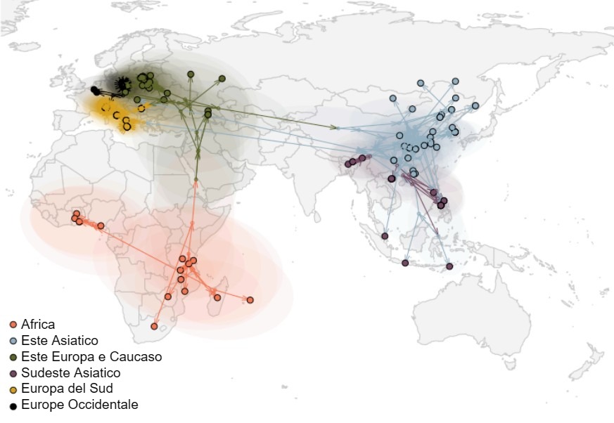 Figura&nbsp;2: Vie di diffusione globale del virus della PSA (Rossi et al. bioRxiv 2025).
