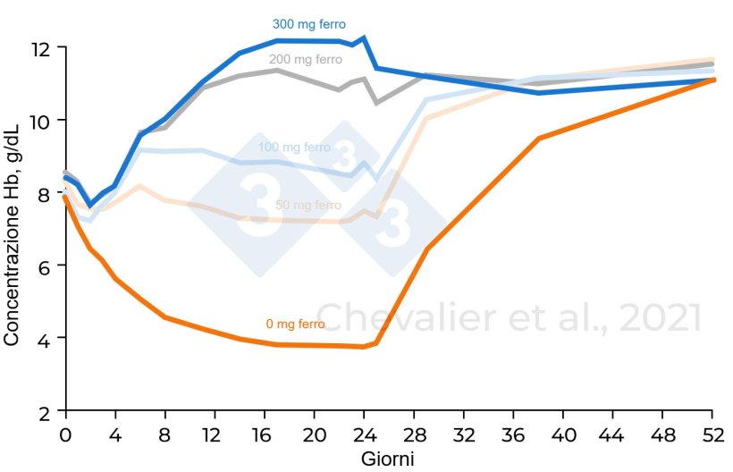 Figura 1. Concentrazione di emoglobina in base alle diverse quantità di ferro somministrate (adattato da Chevalier et al., 2021)
