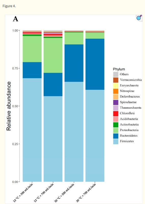 mostra i dodici principali phylum batterici nel contenuto del cieco. Firmicutes costituiva il filotipo pi&ugrave; diffuso, comprendendo oltre il 57,0% della popolazione microbica del cieco, seguito da Proteobacteria, Actinobacteria, Acidobacteria, Chloroflexi, Thaumarchaeota, Spirochaetae, Deferribacteres, Nitrospirae, Euryarchaeota e Verrucomicrobia. La DWT a 30 &deg;C ha aumentato l'abbondanza relativa di Bacteroidetes e diminuito l'abbondanza relativa di Proteobacteria, Actinobacteria, Acidobacteria, Chloroflexi e Thaumarchaeota (p < 0,05). La DWF non ha avuto un effetto sostanziale sull'abbondanza relativa dei microbi. Non c'&egrave; stata alcuna interazione significativa tra DWT e DWF sul filotipo microbico (p > 0,05).Animals (Basel). 2020 Jun 18;10(6):1048. doi: 10.3390/ani10061048