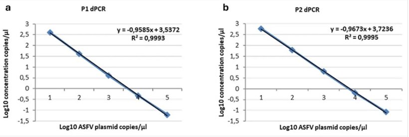 Linearità del ddPCR P1 (a) e P2 (b) su diluizioni seriali del plasmide p72 da 104 a 1 copie/μl. Sono stati tracciati i punti dati per i valori assegnati (asse x) e misurati (asse y) ed è stata calcolata una linea di tendenza mediante regressione lineare.