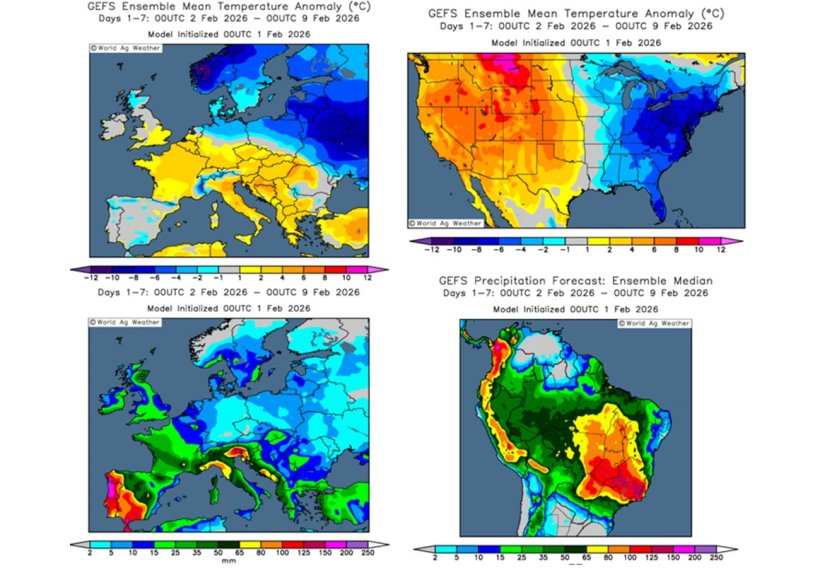 Previsioni meteo per l'emisfero australe e l'Europa (fonte: Grads/Cola)