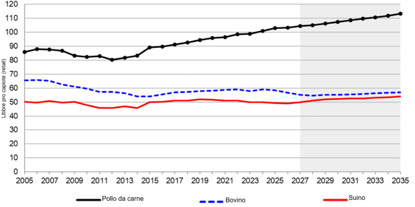 Consumo pro capite di carne negli Stati Uniti, 2005-2035. Fonte: USDA
