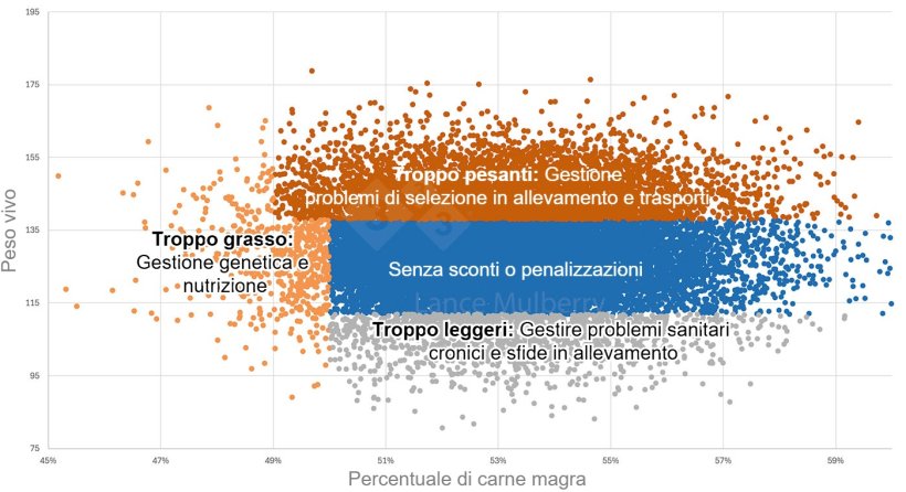Figura 1: I dati provenienti dai macelli, combinati con altri dati quali alimentazione, stato di salute, allevamento scrofe, ecc..., possono aiutare a identificare le cause delle variazioni, nonch&eacute; le misure necessarie per risolverle.
