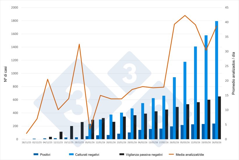 Evoluzione dell'epidemia di peste suina africana (PSA) in Catalogna, dati cumulativi ad eccezione del numero medio di animali testati al giorno. Fonte: 333 sulla base degli aggiornamenti pubblicati dal Ministero dell'Agricoltura, della Pesca e dell'Alimentazione (MAPA).

