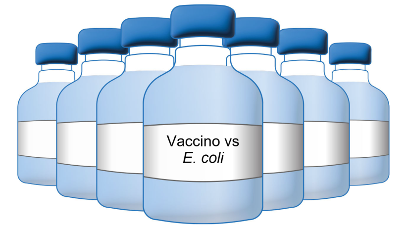 Vaccino contro l'E. coli.
