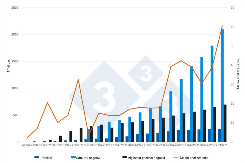 Evoluzione dell'epidemia di peste suina africana (PSA) in Catalogna, dati cumulativi ad eccezione del numero medio di animali testati al giorno. Fonte: 333 sulla base degli aggiornamenti pubblicati dal Ministero dell'Agricoltura, della Pesca e dell'Alimentazione (MAPA).
