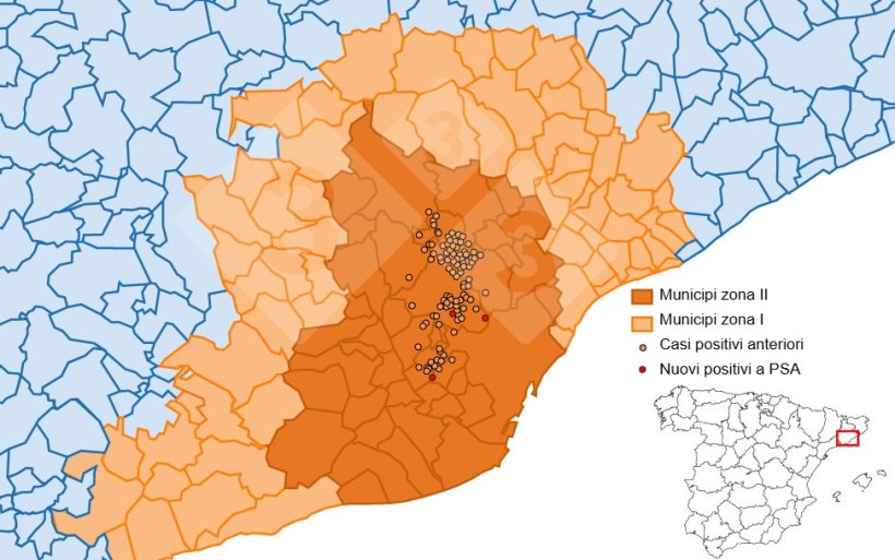 Localizzazione dettagliata dei casi di cinghiale rilevati nella zona ristretta II. Fonte: 333 sulla base dei dati di MAPA e SVO.
