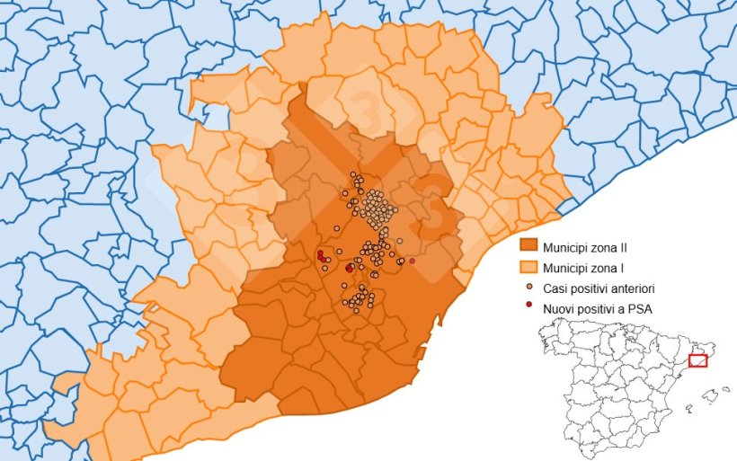 Descrizione: Localizzazione dettagliata dei casi di cinghiale rilevati nella zona ristretta II. Fonte: 333 sulla base dei dati di MAPA e SVO.