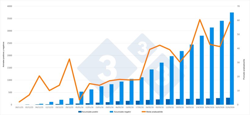 Evoluzione dell'epidemia di peste suina africana (PSA) in Catalogna, dati cumulativi ad eccezione del numero medio di animali testati al giorno. Fonte: 333 sulla base degli aggiornamenti pubblicati dal Ministero dell'Agricoltura, della Pesca e dell'Alimentazione (MAPA).
