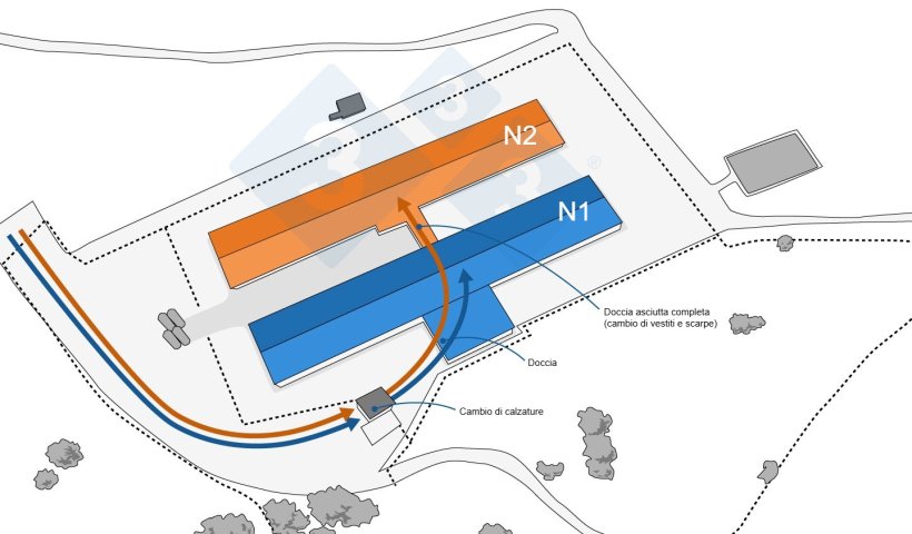 Figura 1. Situazione prima dello scoppio del focolaio. Recinzioni perimetrali e interne e flusso di lavoratori.
