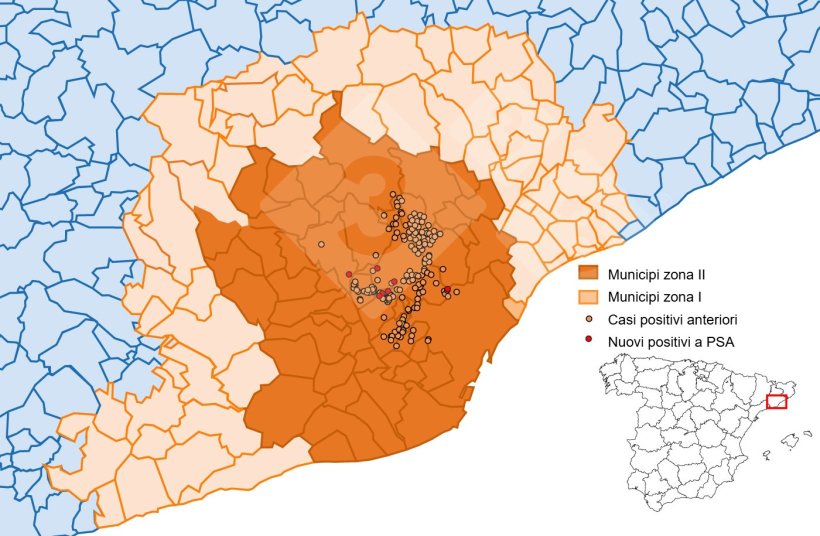 Localizzazione dettagliata dei casi di cinghiale rilevati nella zona ristretta II (settimana 19). Fonte: 333 sulla base dei dati di MAPA e SVO.
