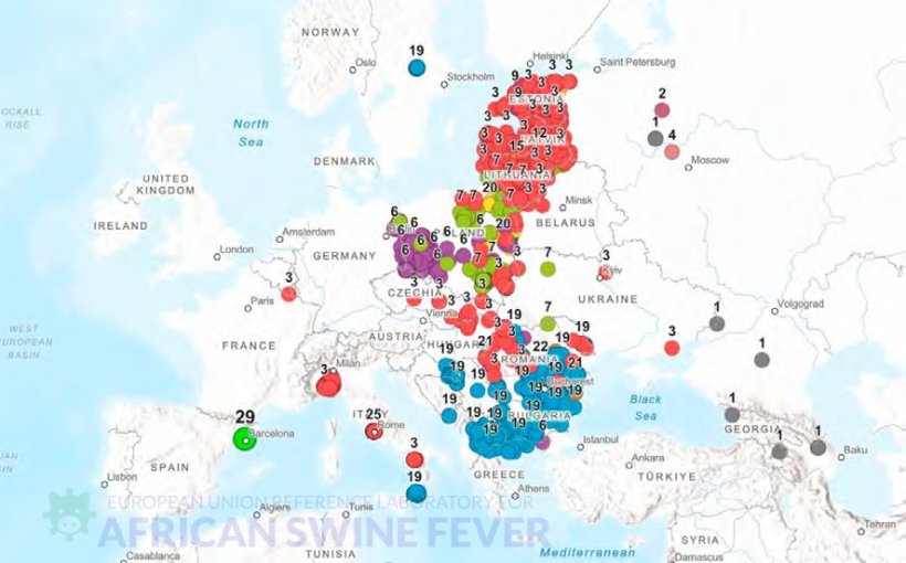 Distribuzione geografica dei sottogruppi genetici di VPSA di genotipo II in Europa, con particolare evidenza del gruppo genetico 29 rilevato in Spagna (Fonte: EURL-ASF).