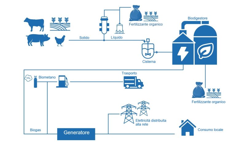 Processo di generazione di biogas, fertilizzante organico ed energia a partire dalle deiezioni.

