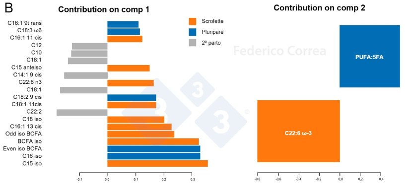 Figura 1. Effetto dell’ordine di parto sul profilo lipidico e metabolomico del colostro suino. L’analisi del profilo degli acidi grassi (A-B) evidenzia una separazione parziale tra scrofette, scrofe di 2° parto e pluripare (A), con specifici acidi grassi che contribuiscono alla discriminazione tra i gruppi di parità (B).
