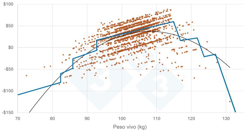 Figura 3: Profitto per capo - singoli suini rappresentati graficamente. Nota: le striature nei punti dati sono dovute alla categorizzazione delle caratteristiche della carcassa, come la percentuale di carne magra o lo spessore del grasso dorsale.